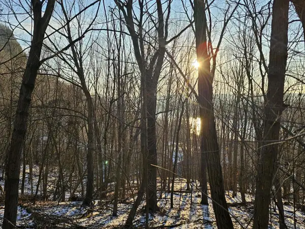 1.73 Ac Stevens Road, De Soto, WI 54624