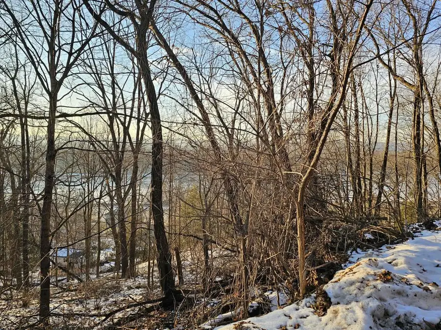 1.73 Ac Stevens Road, De Soto, WI 54624 - Image #2