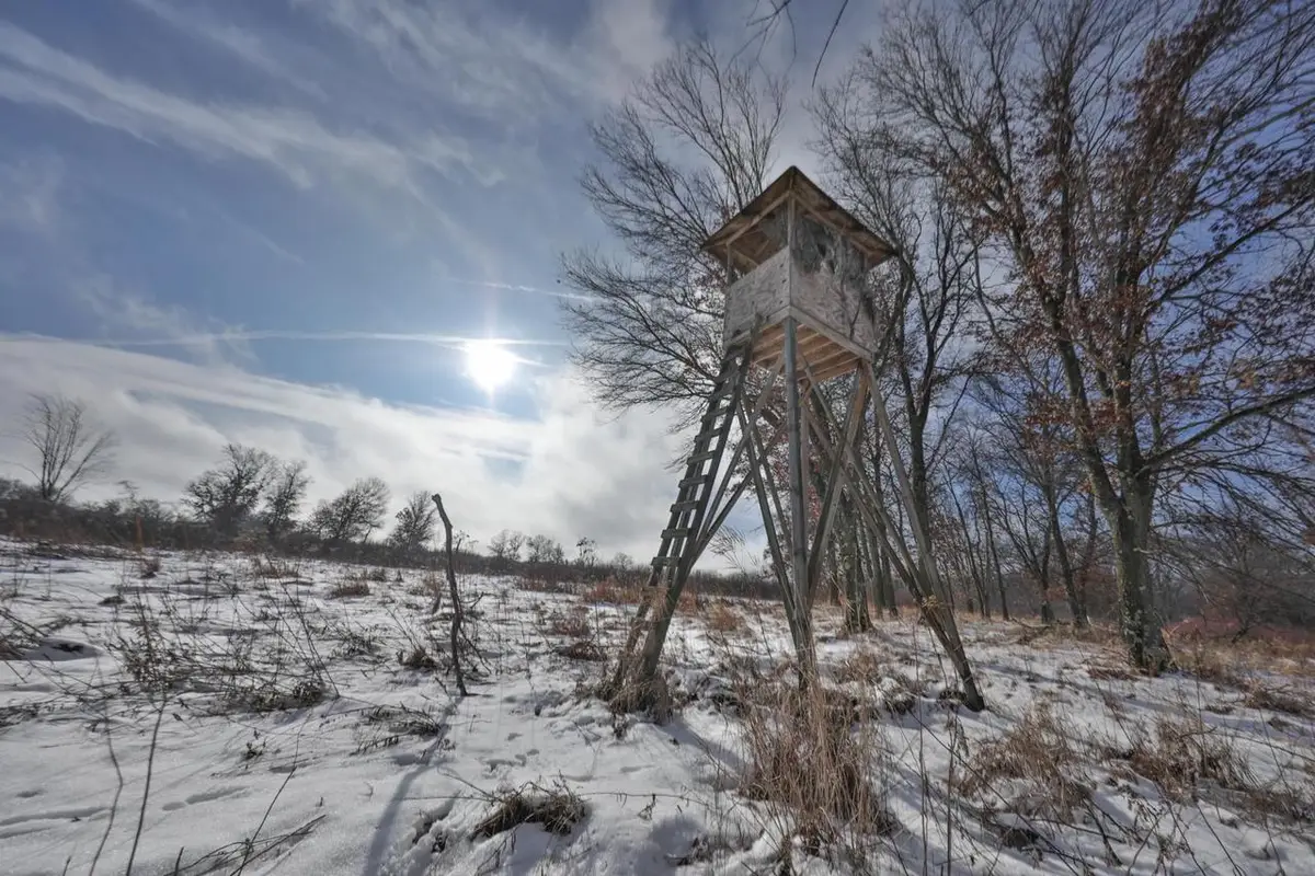 000 County Road O, Nekoosa, WI 54457 - Image #1