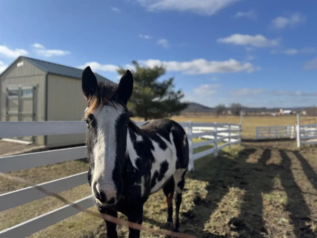 28632 County Hwy BA, Richland Center, WI 53581 - Image #1