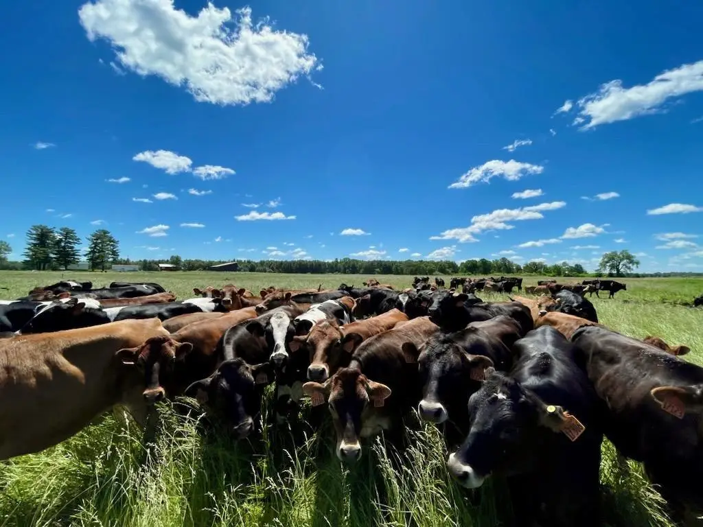 TBD 5th Avenue, Camp Douglas, WI 54618 - Image #1