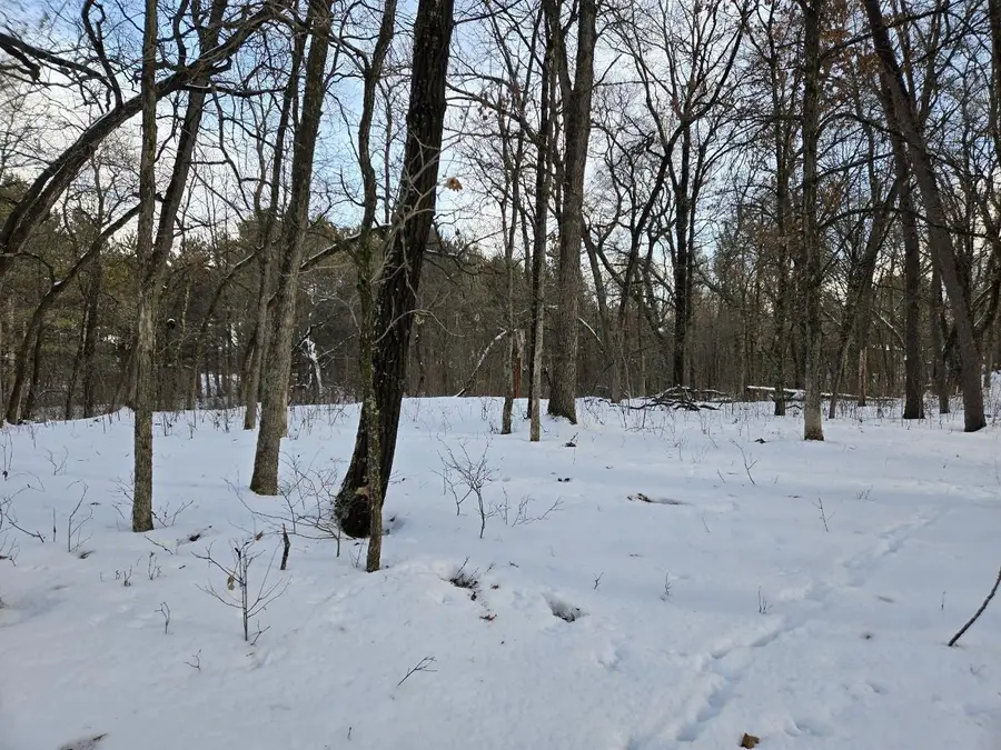 322 Big Sky Trail, Nekoosa, WI 54457 - Image #3