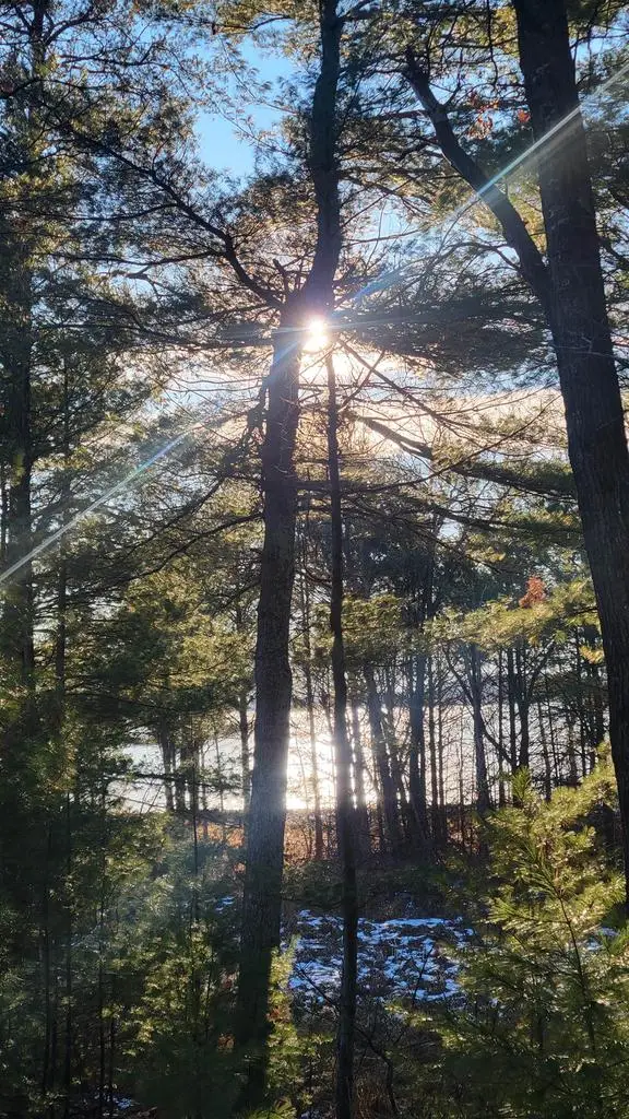 Lot 15 19th Pass, Arkdale, WI 54613 - Image #2