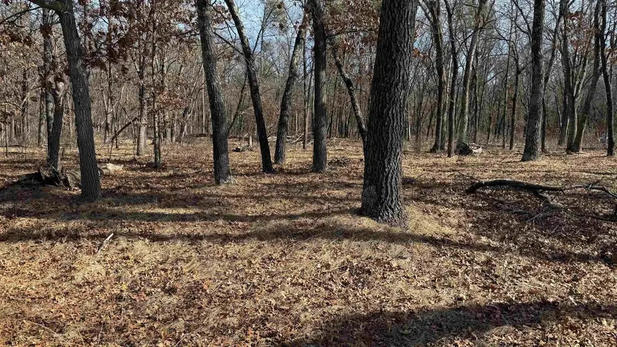 362 Juniper Trail, Nekoosa, WI 54457 - Image #3