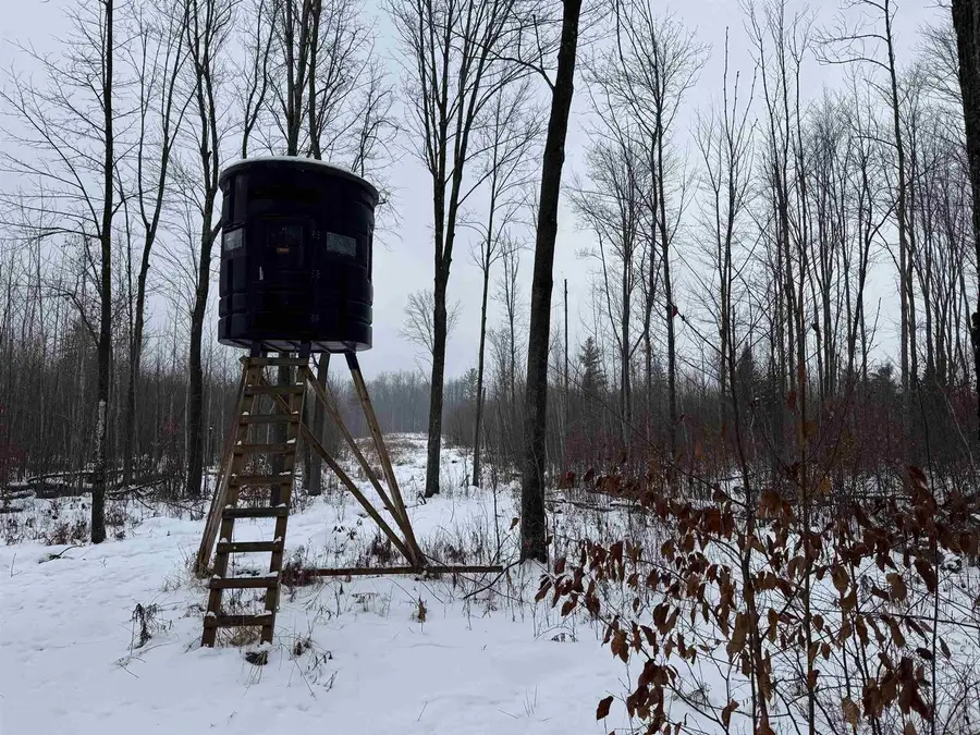 4400 N Deer Lane, Mosinee, WI 54455 - Image #3