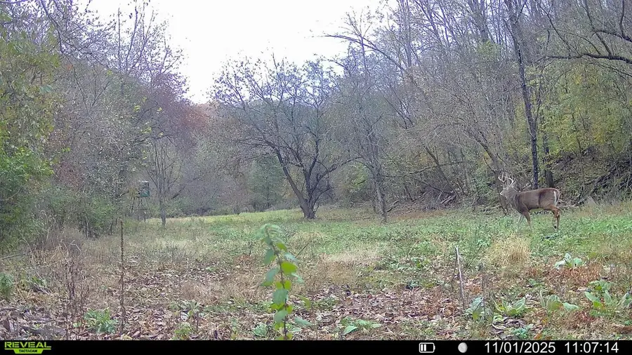 000 County Road C, Soldiers Grove, WI 54655 - Image #2