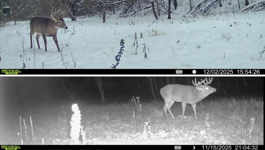 000 County Road C, Soldiers Grove, WI 54655 - Image #3