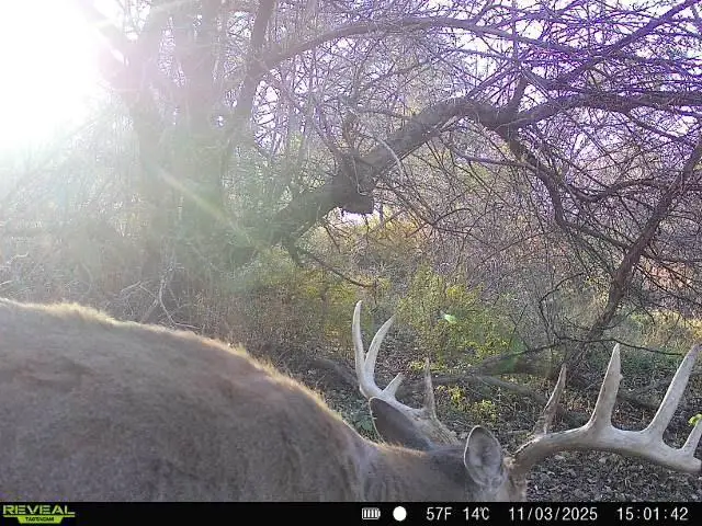 0 Berry Hill Road, Richland Center, WI 53581 - Image #2