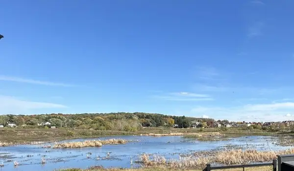 605 Morning Cove Circle, Verona, WI 53593