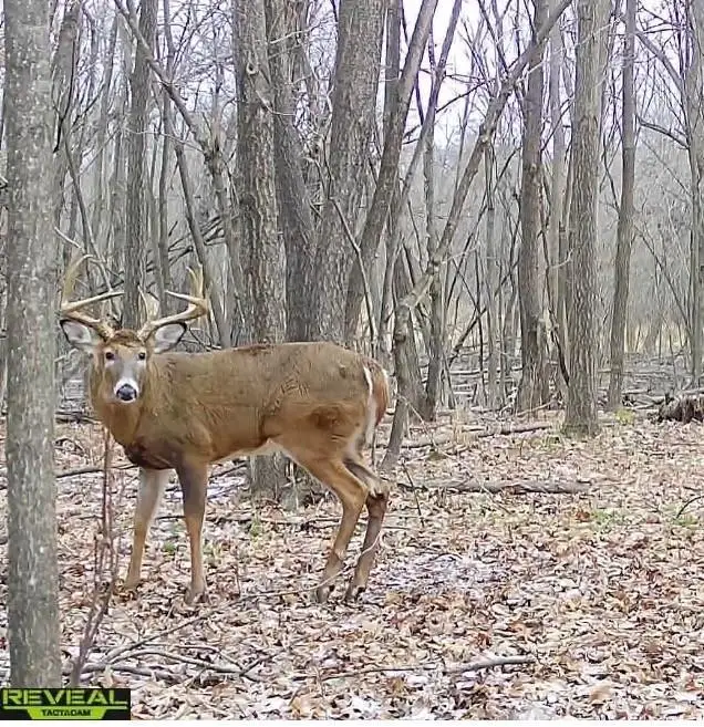 17.75 Acres County Road G, Oxford, WI 53952 - Image #2