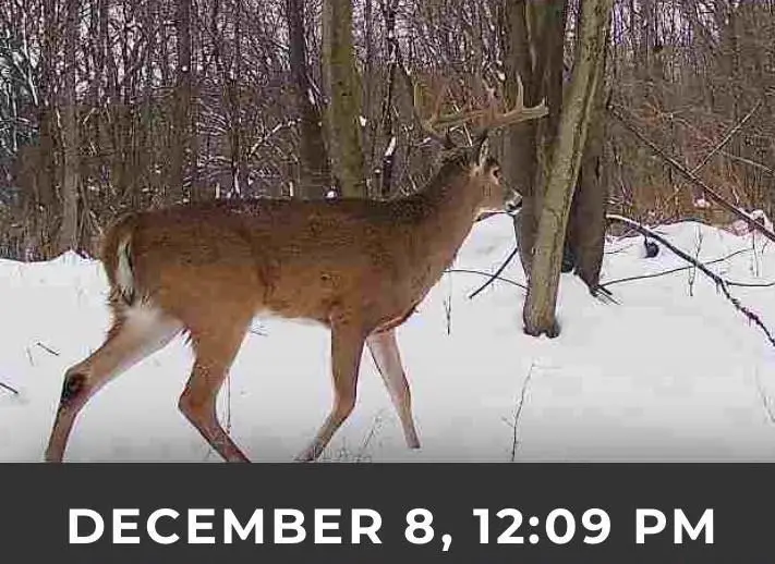 17.75 Acres County Road G, Oxford, WI 53952 - Image #3