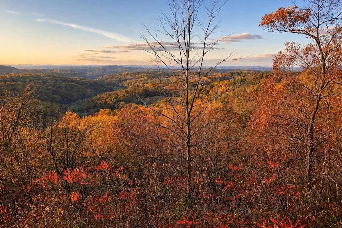 N7703 Wanlass Road, Mindoro, WI 54644 - #1