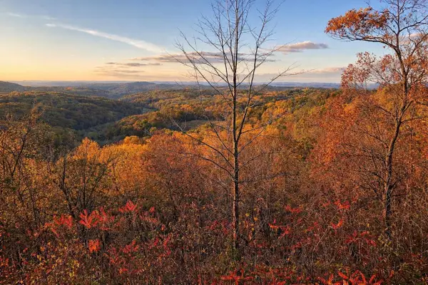 N7703 Wanlass Road, Mindoro, WI 54644