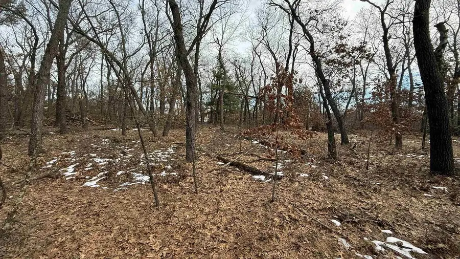 Horkan Rd Road, New Lisbon, WI 53950 - Image #2