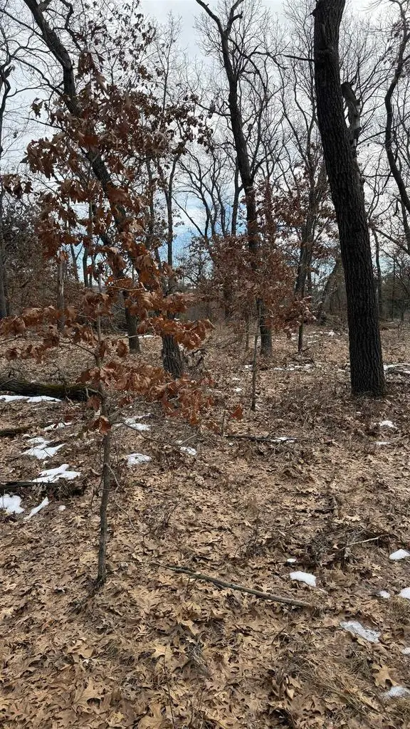 Horkan Rd Road, New Lisbon, WI 53950 - Image #3