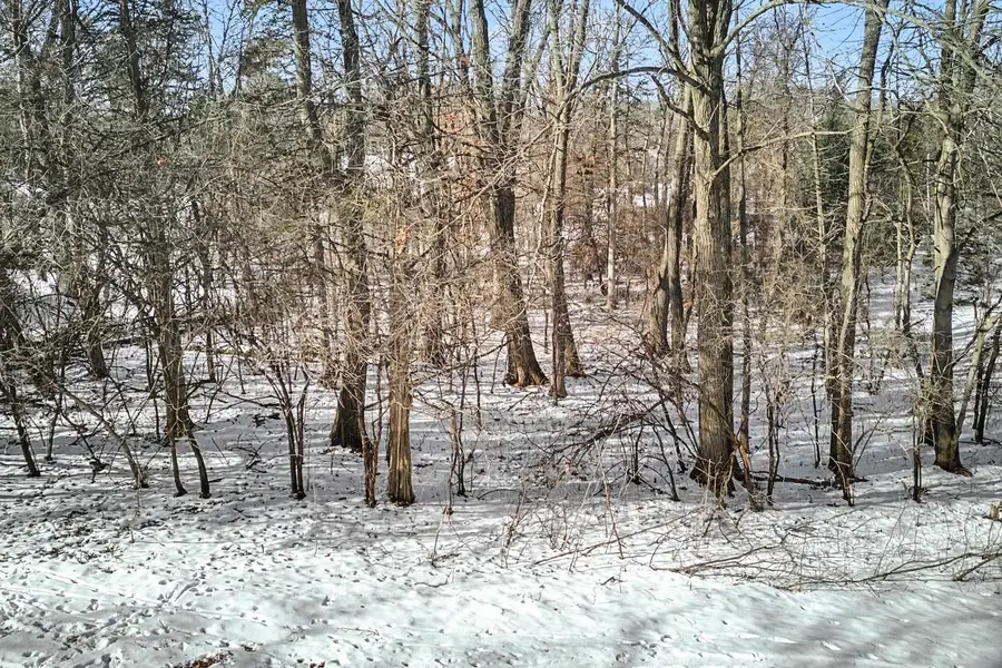 Lot 6 Peacock Lane, Green Lake, WI 54941 - #3