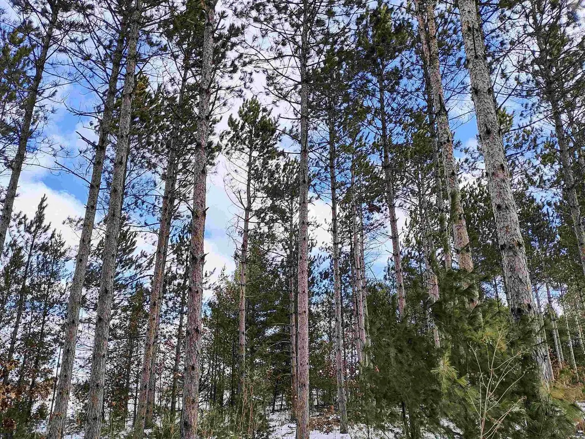 19.81 Acres 6th Avenue, Grand Marsh, WI 53936 - Image #1