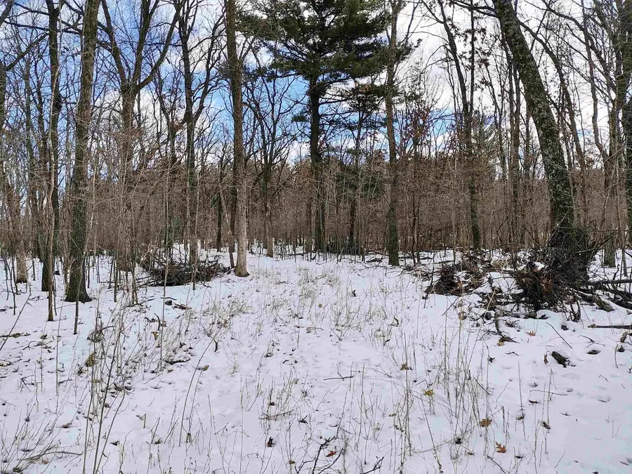 19.81 Acres 6th Avenue, Grand Marsh, WI 53936 - Image #3
