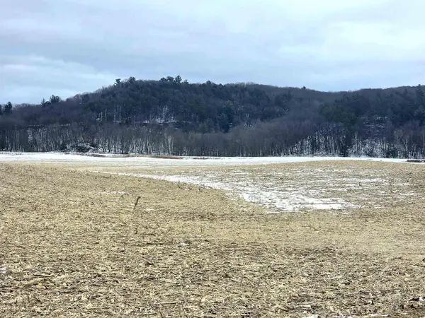 137 Acres Morrissey Road, Mauston, WI 53948