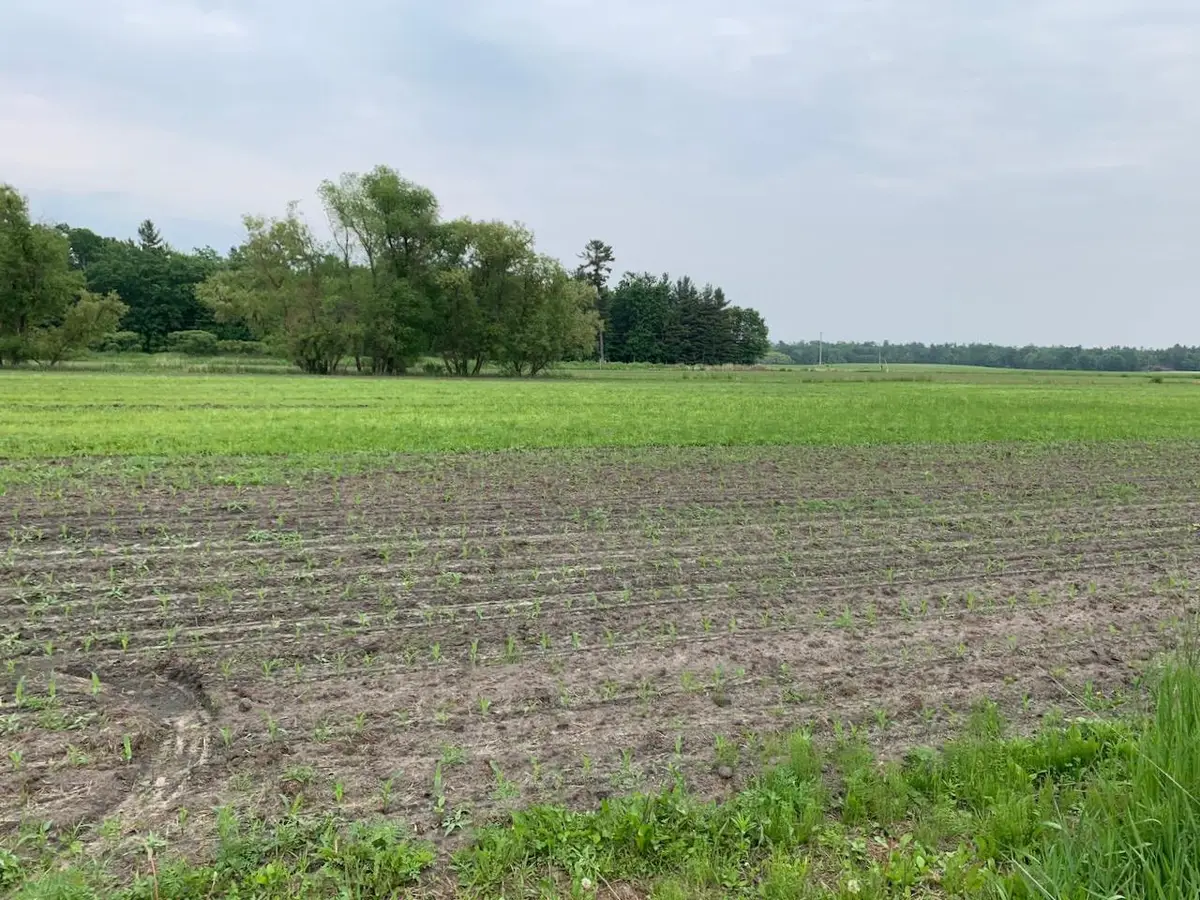 40 acres 5th Avenue, Camp Douglas, WI 54618 - #1