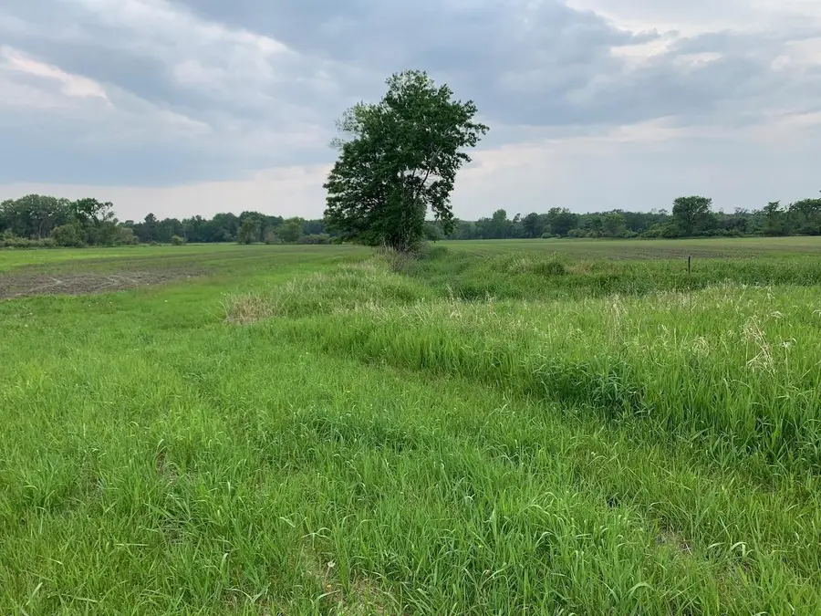 40 acres 5th Avenue, Camp Douglas, WI 54618 - #2