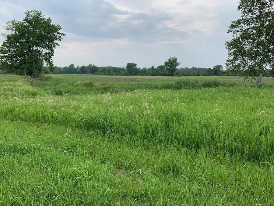 40 acres 5th Avenue, Camp Douglas, WI 54618 - #3