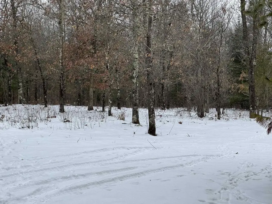 Gale Avenue, Wisconsin Dells, WI 53965 - Image #3