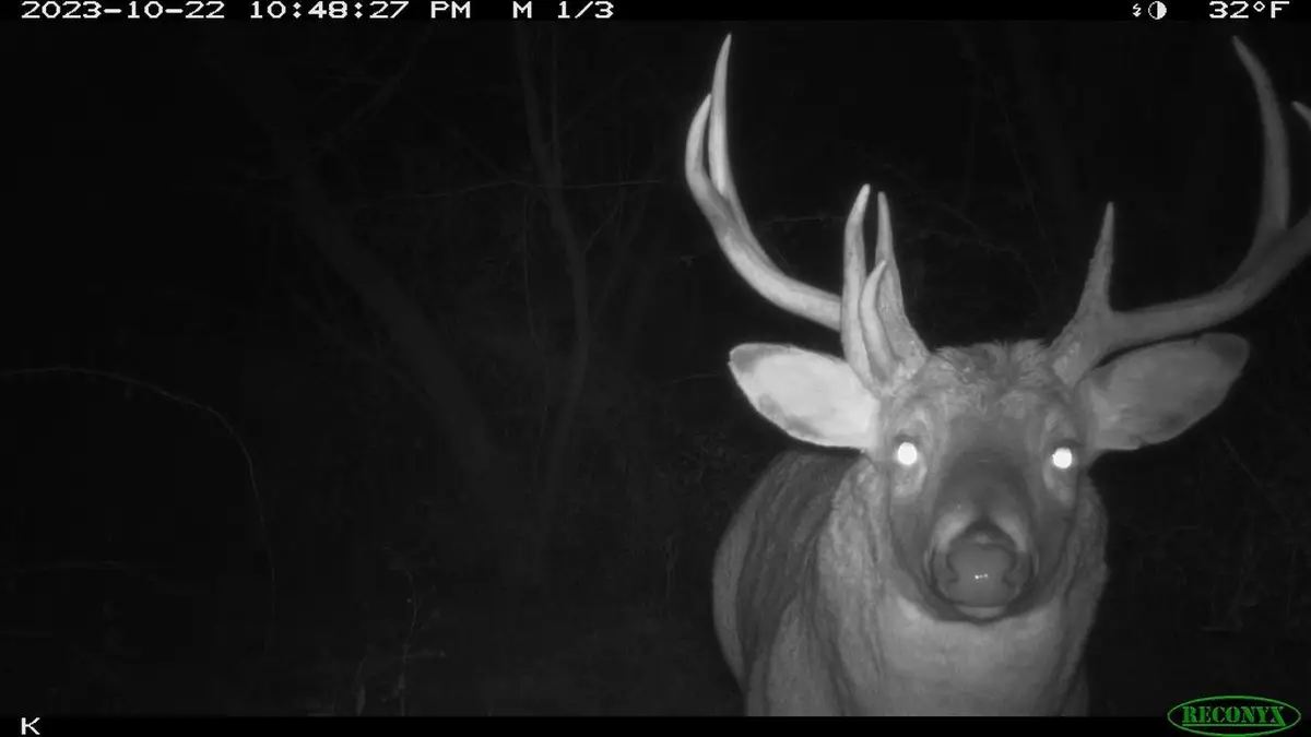 00 Wheat Hollow Road, Cazenovia, WI 53924 - #1