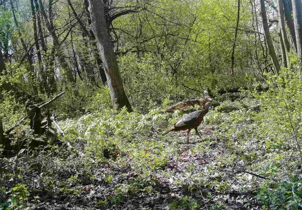 Lot 11 Maple Heights Road, Marshall, WI 53559