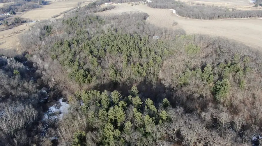 W7113 Leigh Road, Mauston, WI 53948 - #3