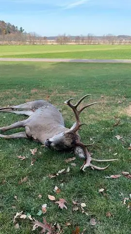 W7113 Leigh Road, Mauston, WI 53948 - #3