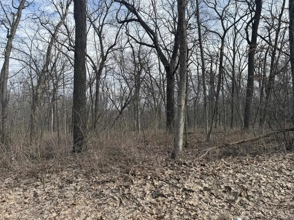 2+/- Acres Biggs Road, Argyle, WI 53504 - #1