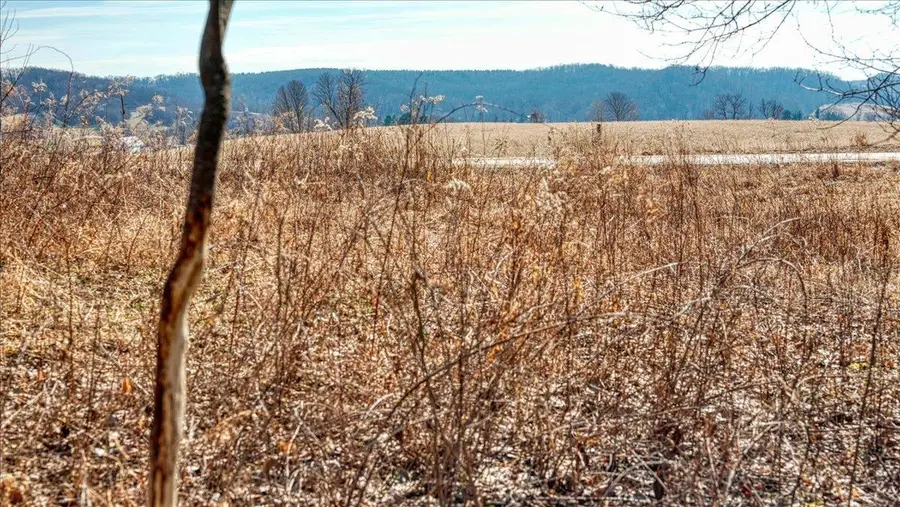 E17497 Gross Valley Lane, Hillsboro, WI 54634 - #3