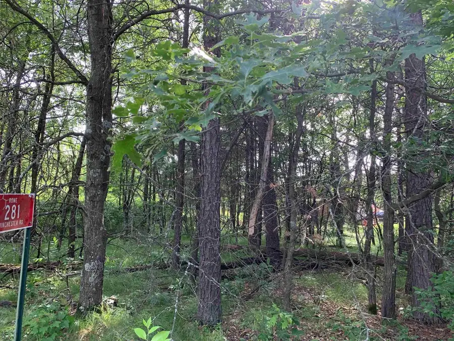 281 Winchester Road, Nekoosa, WI 54457 - #3
