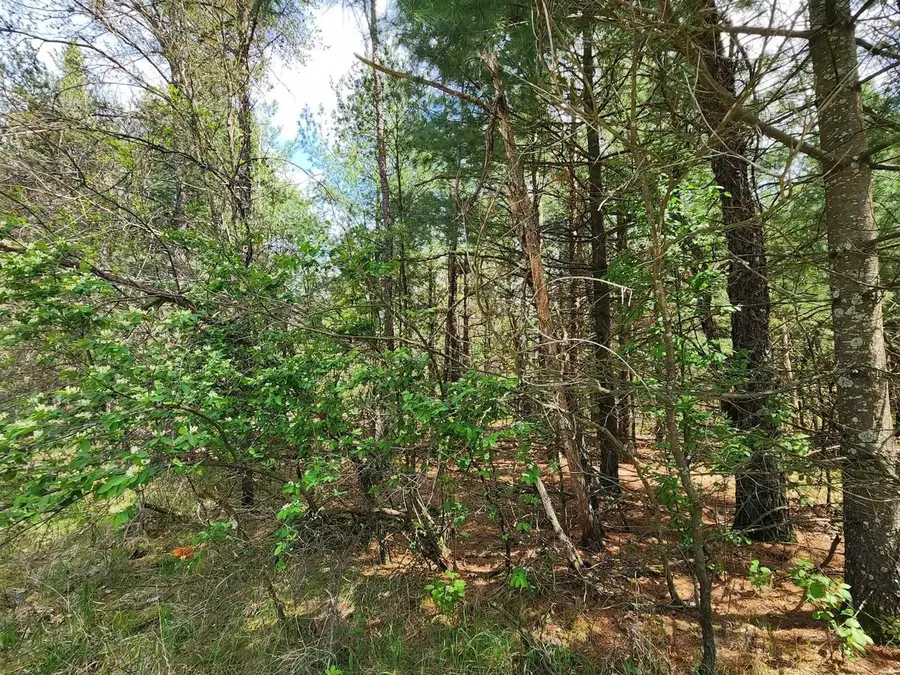 Lot 303 Cypress Drive, Arkdale, WI 54613 - #3