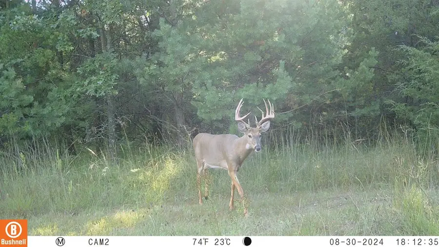 342 Dyke Avenue, Grand Marsh, WI 53936 - #3