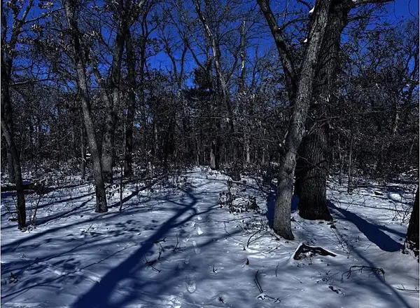 Lot 10 Bayview Lane, Lyndon Station, WI 53944