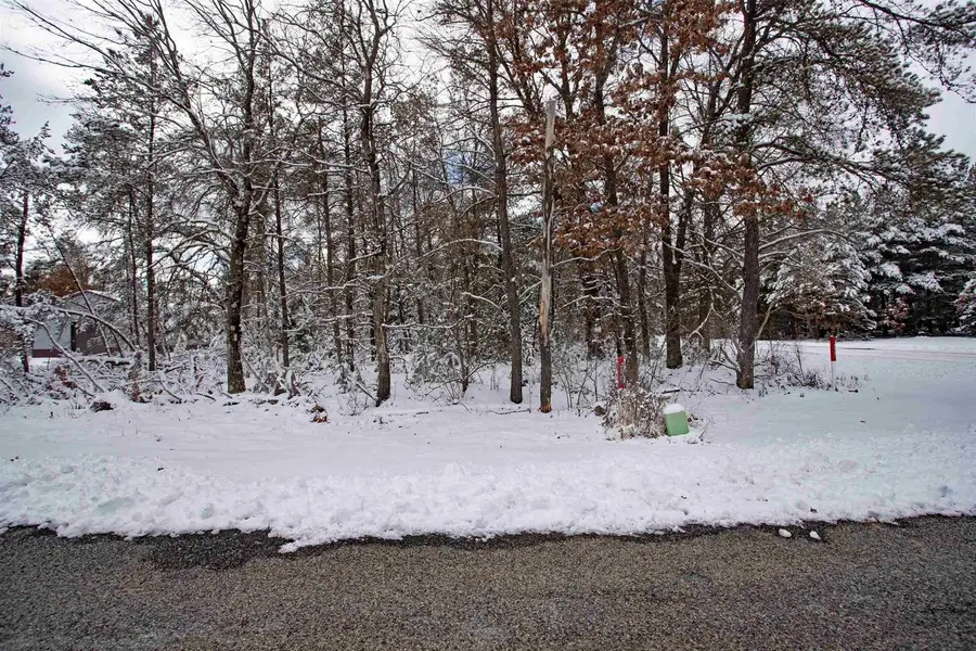 Lot 261 Tomahawk Trail, Necedah, WI 54646 - #3