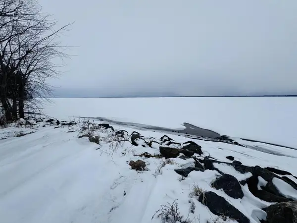 Lot 57 & 58 Badger Court, Arkdale, WI 54613