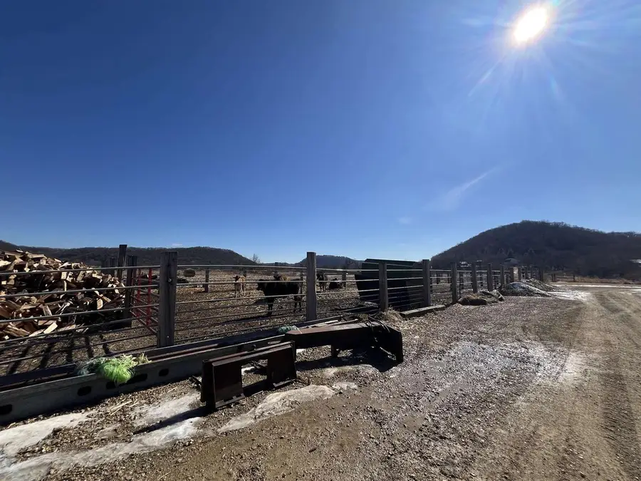 51519 County Road E, Steuben, WI 54657 - #3