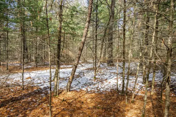 Lot 38 S Badger Lane, Arkdale, WI 54613