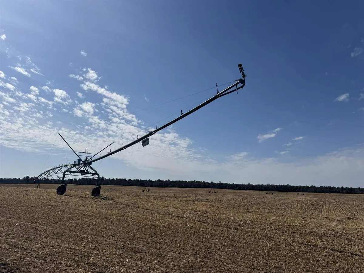 281.68 Acres Buttercup Ave & 16th Avenue, Arkdale, WI 54613 - #1