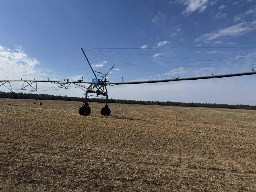 281.68 Acres Buttercup Ave & 16th Avenue, Arkdale, WI 54613 - #3