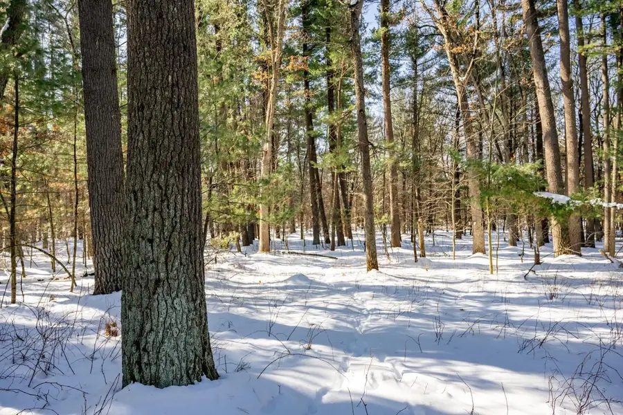 3.2 acres County Road C, New Lisbon, WI 53950 - #2