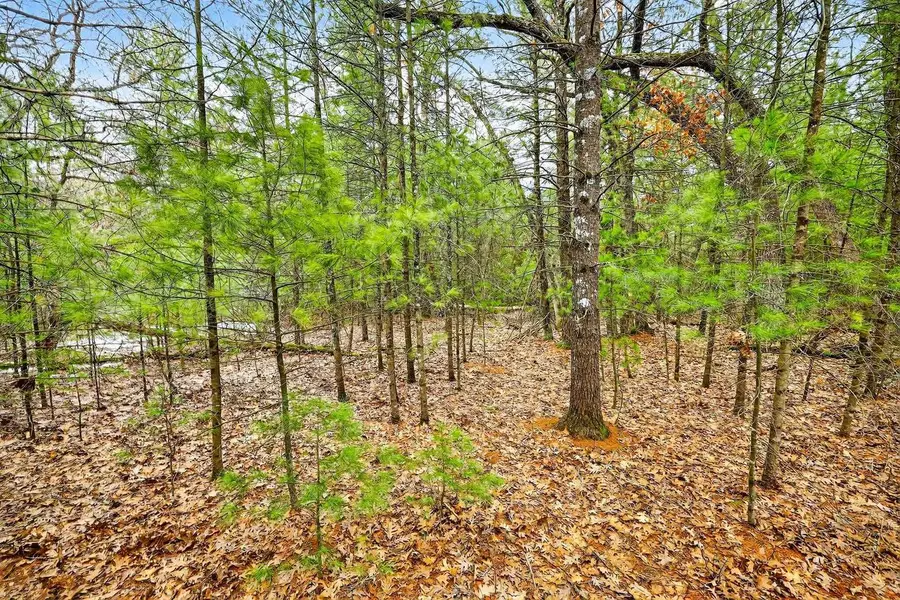 5 ac KL Townline Road, Mauston, WI 53948 - #3