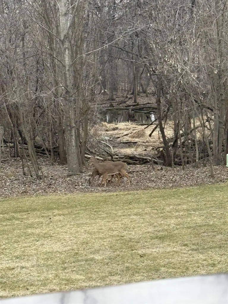 4884 Monarch Drive, Milton, WI 53563 - #3