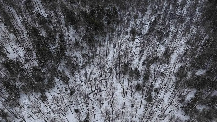 43+/- AC County Rd FF Acres, Merrill, WI 54452 - #3