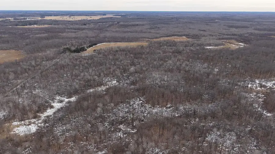 40+/- AC Kline Rd Acres, Reid, WI 54455 - #3