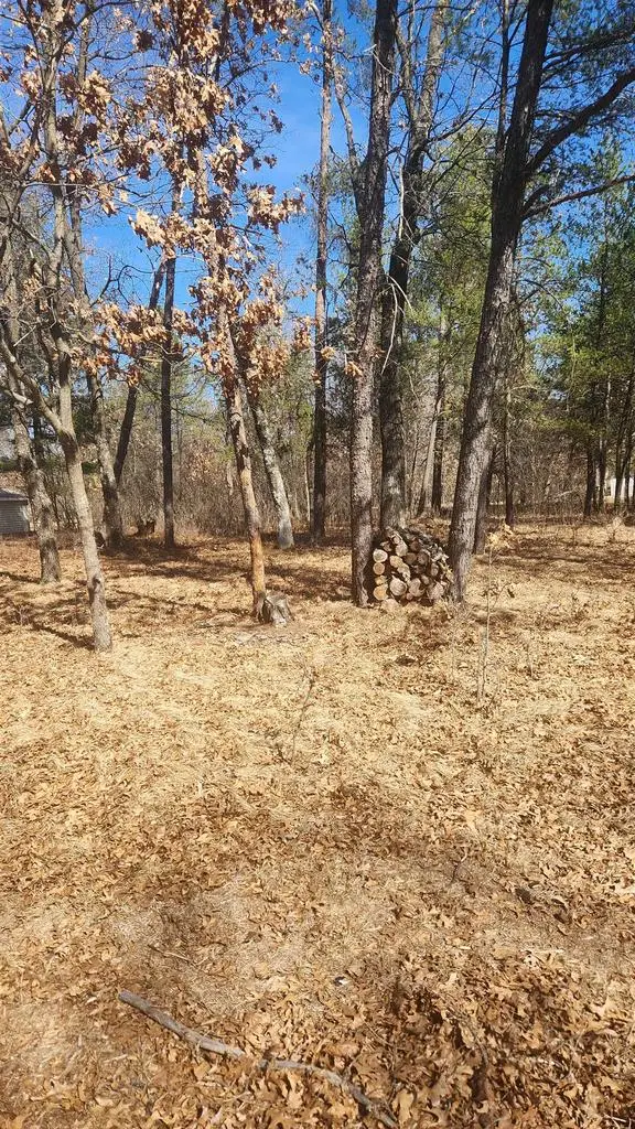 1584 Kingswood Trail, Nekoosa, WI 54457 - #2