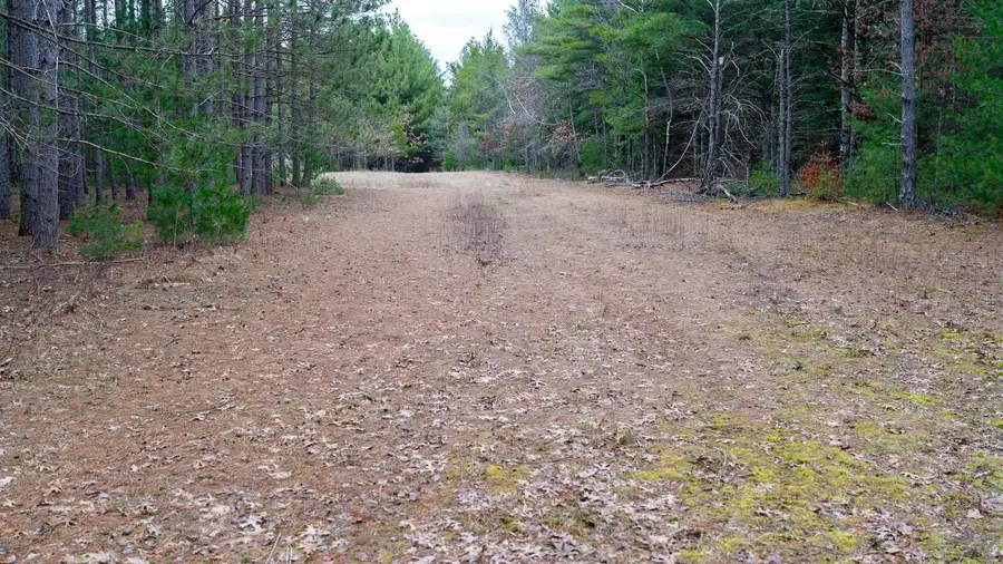 255.45 Ac Dover Drive, Adams, WI 53910 - #3